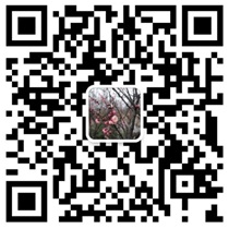 樹(shù)誠(chéng)智能科技（杭州）有限公司官網(wǎng)